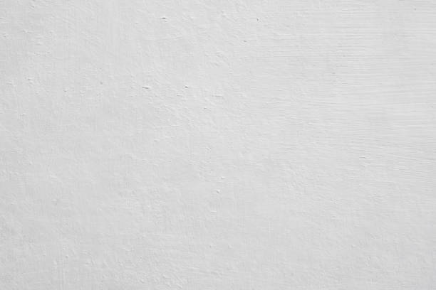 Professional Mold Removal in Mill Creek East, WA